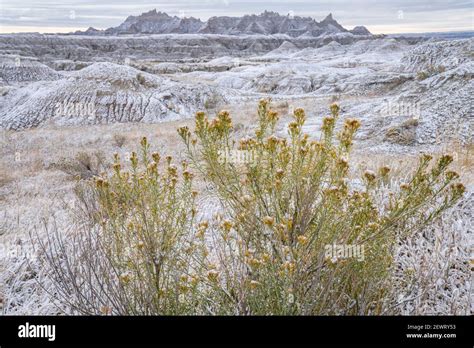 Winter Scene In The Badlands Badlands National Park South Dakota