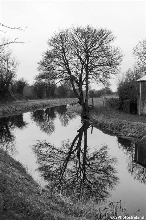 365 Project 042 365 Reflections Reflections In Water J Skelly