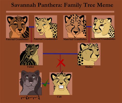 [SP] Sade Family Tree by Uniskorne on DeviantArt