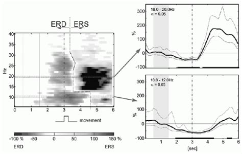 Eeg Event Related Desynchronization Erd And Event Related