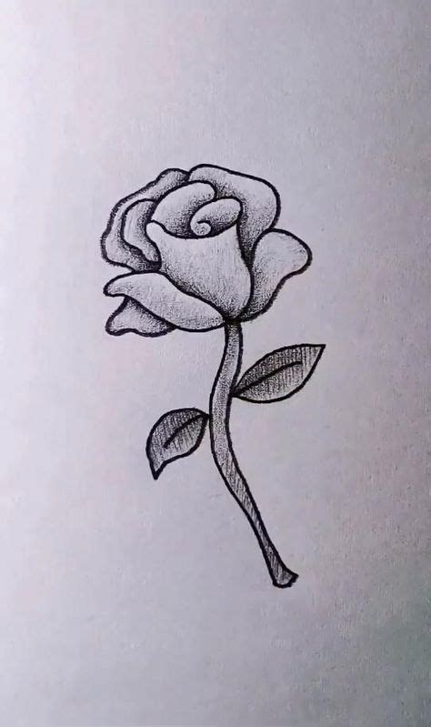 Easy Rose Drawing