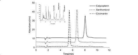 Purity Of Isolated Flavonoids As Determined By Analytical Hplc The