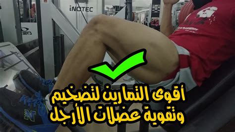 أقوى التمارين لتضخيم وتقوية عضلات الأرجل الامامية والخلفية Legs Workouts Youtube