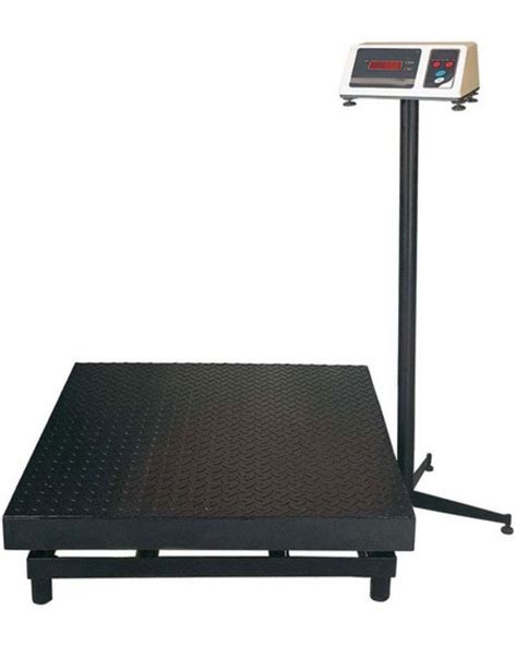 Stainless Steel 100 Kg Digital Platform Weighing Scale At 7000 In Khandwa