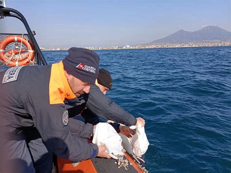 Pesca Illegale Blitz Della Guardia Costiera Di Napoli Prima Campania