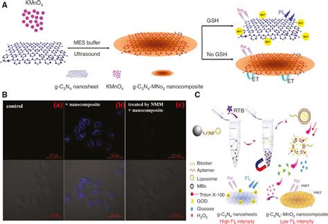 Schematic Illustration And Experimental Results Of Fret Sensors Using