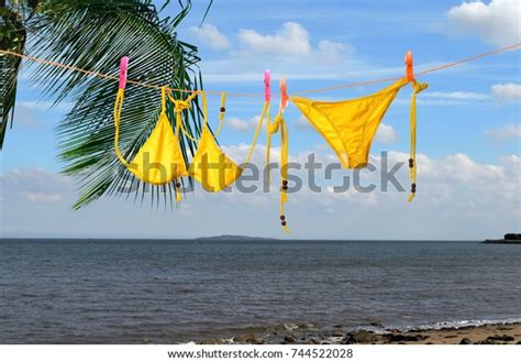 Bikini Hanging On Rope Sunlight Beach Stock Photo Edit Now 744522028