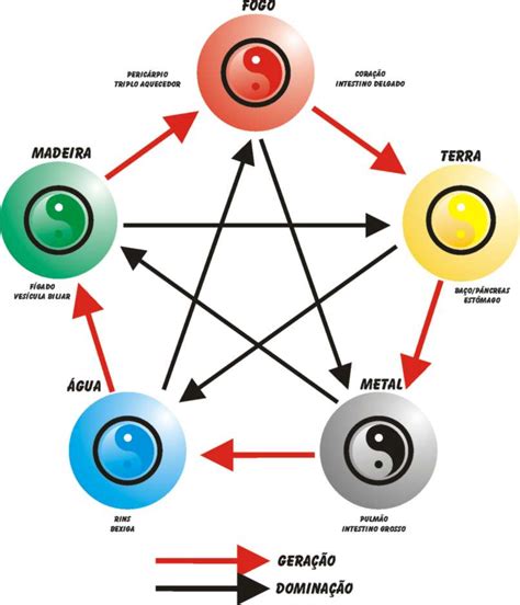 A Teoria dos Cinco Elementos é essencial