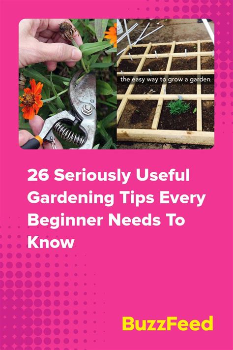 Seriously Useful Gardening Tips Every Beginner Needs To Know