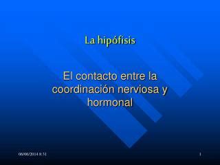 PPT La hipófisis PowerPoint Presentation free download ID 1150803