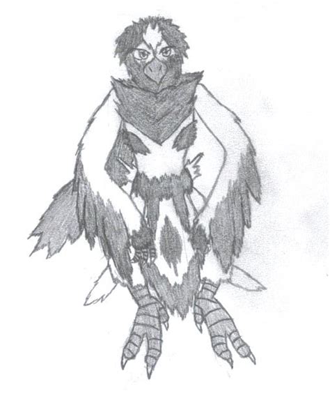 Ninja Bird By Xphoenixflare On Deviantart