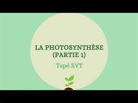 La photosynthèse partie 1 Tspé SVT YouTube