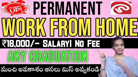 Netscribes Permanent Work From Home Job In Telugu Netscribe Job