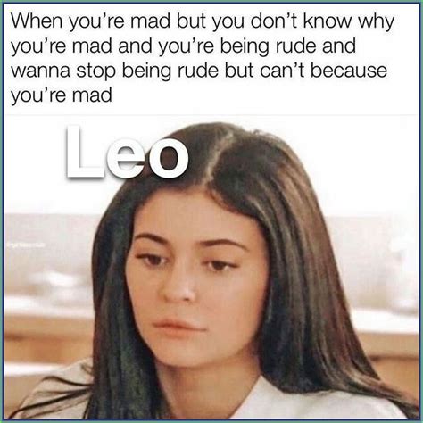 27 Relatable Leo Memes That Will Make You Feel Attacked Artofit