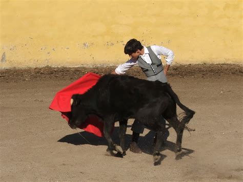 Pe A Cultural Taurina De Roquetas De Mar Marzo