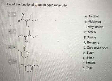 Solved Label the functional group in each molecule NH₂ A Chegg