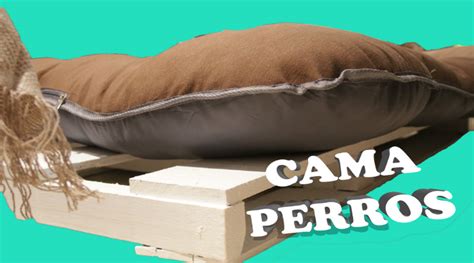 C Mo Hacer Cama Para Perros F Cil De Hacer