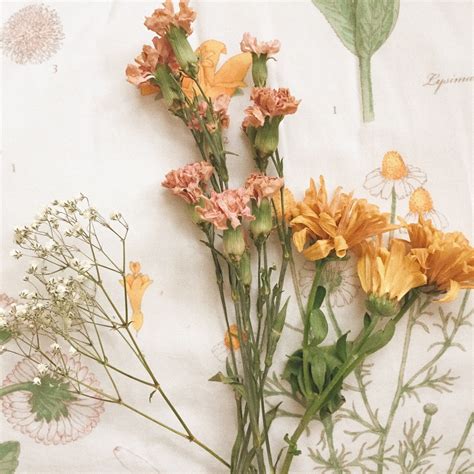 soft aesthetic, dried flowers and plants - image #8736953 on Favim.com