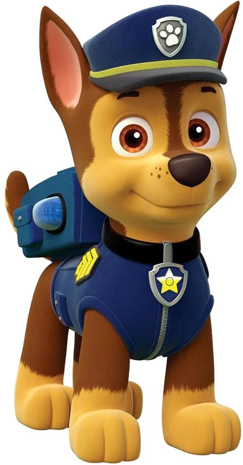 33 Rocky Paw Patrol Skye Png