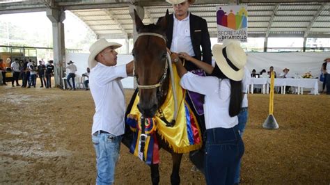 Éxito en la exposición equina Grado B en Moniquirá YouTube