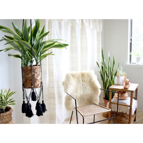 Plantas Colgantes Ideas Para El Interior