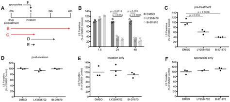 Pre Treatment With S6 Kinase Inhibitors Reduces LS Burden A Schematic