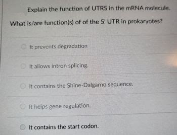 Answered: Explain the function of UTRS in the mRNA molecule. | bartleby 