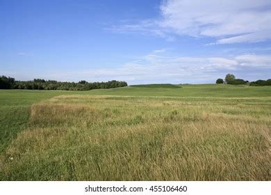 Pasture Land Stock Photo 455106460 | Shutterstock