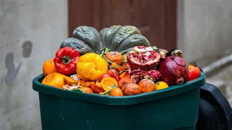 Rotten Fruits And Vegetables In The Trash Organic Food Waste