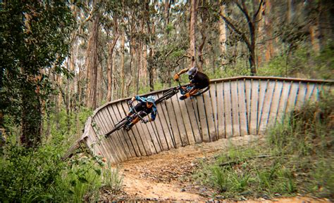 10 Top Brisbane Mountain Bike Trails For All Skill Levels