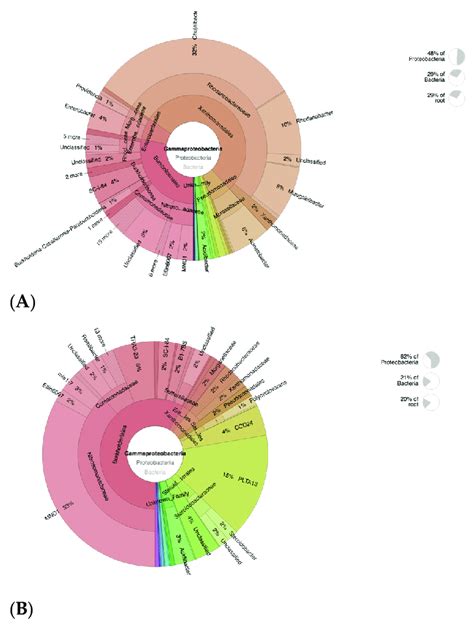 Krona Plot Showing The Analyses Result Of Aob Gammaproteobacteria