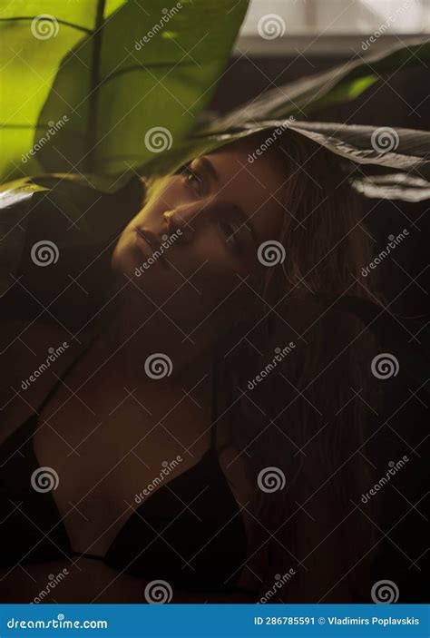 Rubia Sexy En Bikini Negro Posa A La Sombra De Hojas De Palma Imagen De Archivo Imagen De