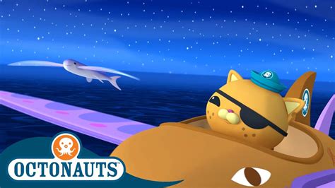 Octonauts Chasing The Flying Fish Full Episode 22 Cartoons For