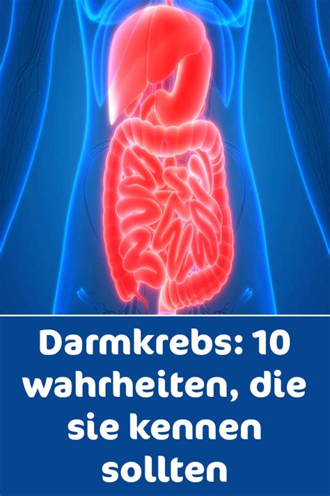 Pin Auf Körper Gesundheit