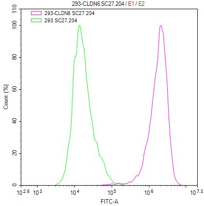 HEK293T Human CLDN6 Stable Cell Line Cusabio