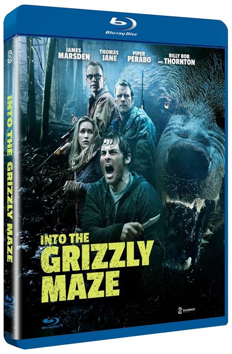 Into The Grizzly Maze Blu Ray Gigantti Verkkokauppa