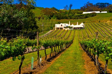 Te Mata Estate Coleraine Winery Havelock North Hawkes Bay North