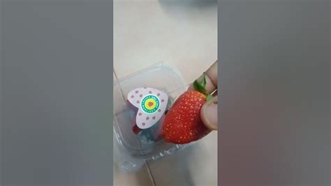 Fruit 🍓🍓🍓 Youtube