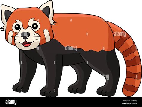 Red Panda Animal Cartoon Colored Clipart Stock Vector Image And Art Alamy