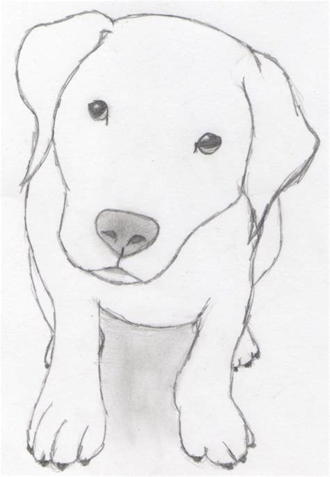 Imagens De Desenhos De Cachorros Disney Drawings Sketches, Animal ...