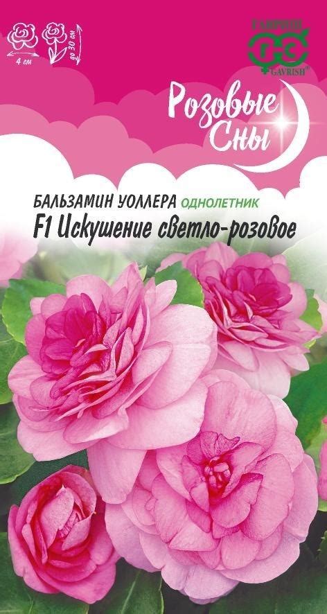 ЦВЕТЫ РАЗЛИЧНЫЕ ОДНОЛЕТНИКИ