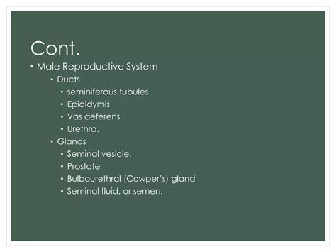 Comparative Anatomy Reproductive System PPT