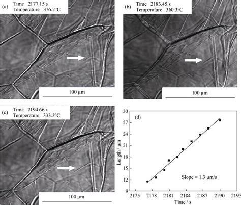 Micrographs of the growth of a bainite plate that nucleated on a ...