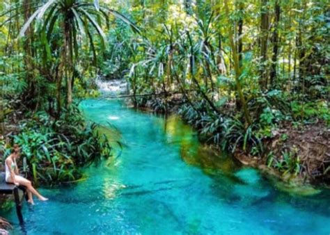 Menyelami Keindahan Kali Biru Warsambin Sungai Sebiru Kristal Di Papua