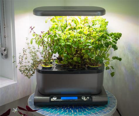 Indoor Growing System Ideas Ways To Grow An Indoor Garden Homes