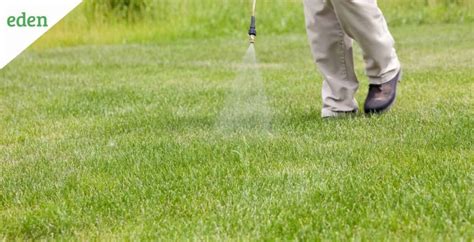 Best Post-Emergent Herbicide: Buyer’s Guide | Eden Lawn Care and Snow ...