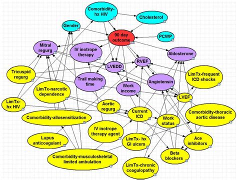 Day Bayesian Model Node Colors Red Class Blue Parent Purple