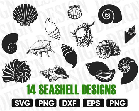 Sea Shells Svg Files For Cutting Silhouettes And Other Design Projects