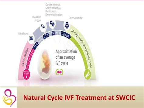 Ppt Natural Cycle Ivf Treatment Powerpoint Presentation Free