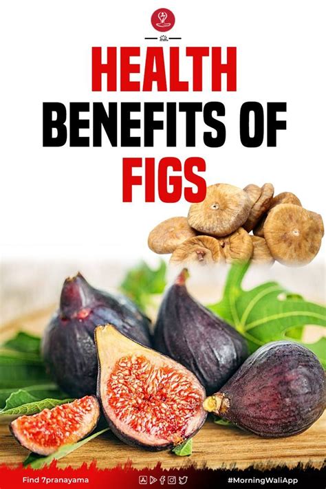 Figs Ficus Carica Are An Extremely Tasty Fruit Packed With Hundreds